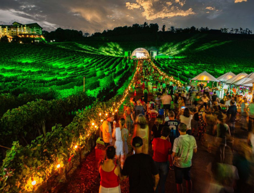 Detalhes da viagem Natal nos Vinhedos - Bus 01