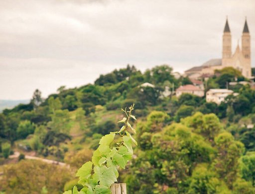 Detalhes da viagem ExpoSanta - Monte Belo e Santa Tereza