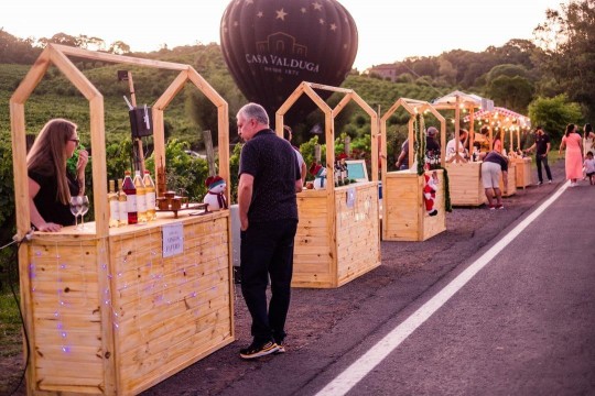 Natal nos Vinhedos - Foto 8