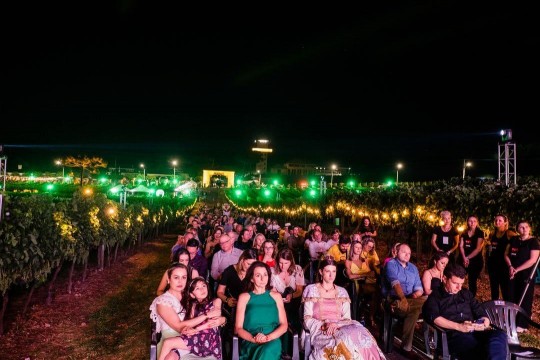 Natal nos Vinhedos - Foto 9