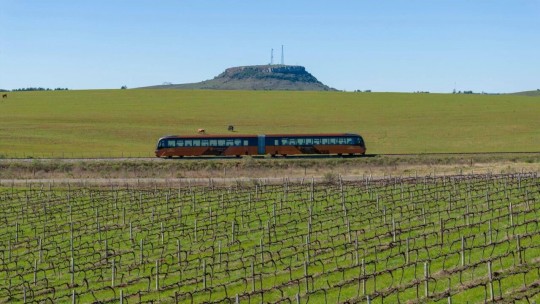 Trem do Pampa, Rivera & Fenadoce - Foto 1