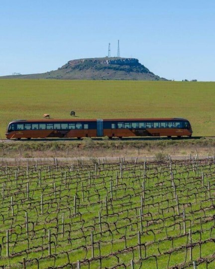 Trem do Pampa, Rivera & Fenadoce - Foto 16