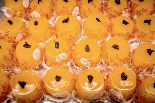 Trem do Pampa, Rivera & Fenadoce - Foto 22