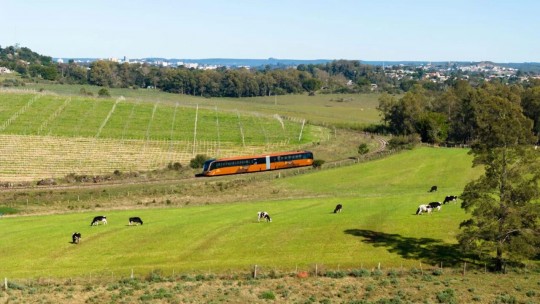 Trem do Pampa, Rivera & Fenadoce - Foto 5