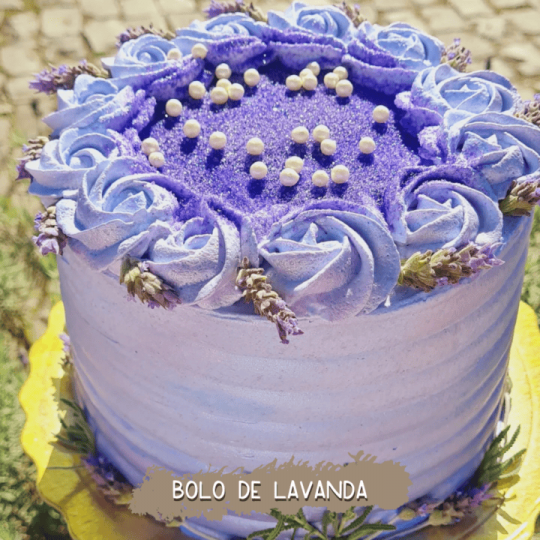 Lavandas de Morro Reuter & Café da Colônia - Foto 2