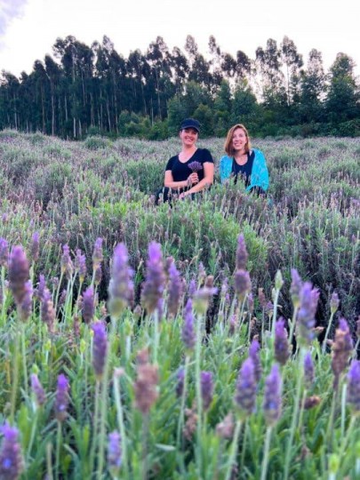 Lavandas de Morro Reuter & Café da Colônia - Foto 7