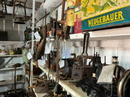 Cristo Protetor & Rota Germânica - Especial Dia das Mães - Foto 24