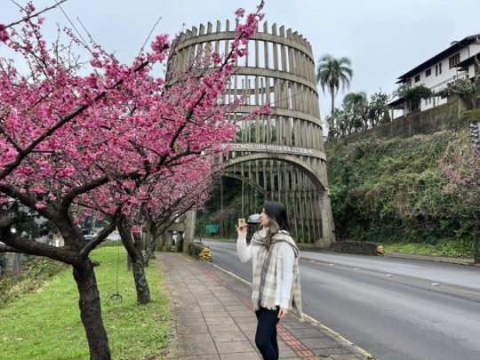 Manta e Vinho - Foto 25