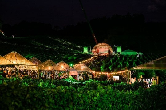 Natal nos Vinhedos - Foto 22