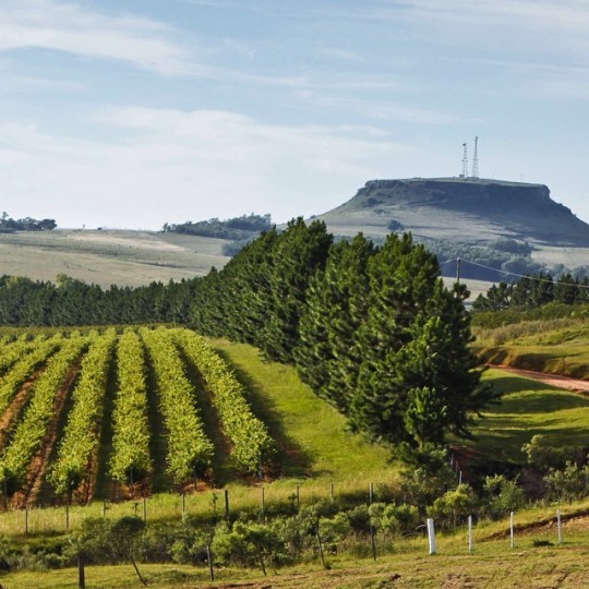 Trem do Pampa e Rivera - Foto 12