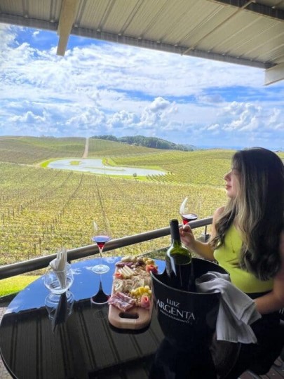 Antônio Prado + Nova Pádua e Flores da Cunha - Foto 15