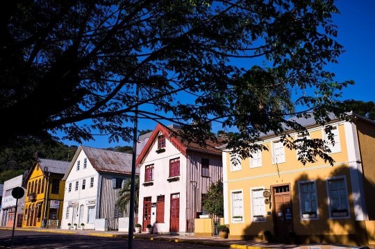 Antônio Prado + Nova Pádua e Flores da Cunha - Foto 18