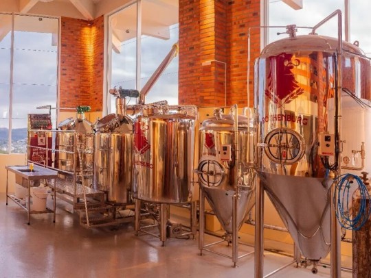 Lavandas de Morro Reuter - Bus 02 - Foto 1