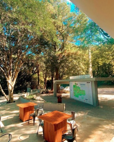 Lavandas de Morro Reuter - Bus 02 - Foto 2