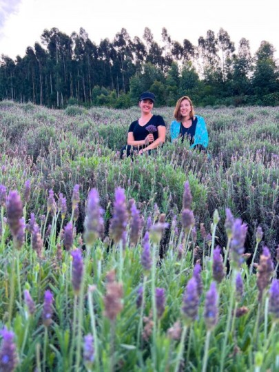 Lavandas de Morro Reuter - Bus 02 - Foto 10