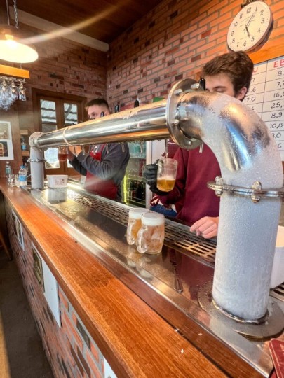 Lavandas de Morro Reuter - Bus 02 - Foto 4