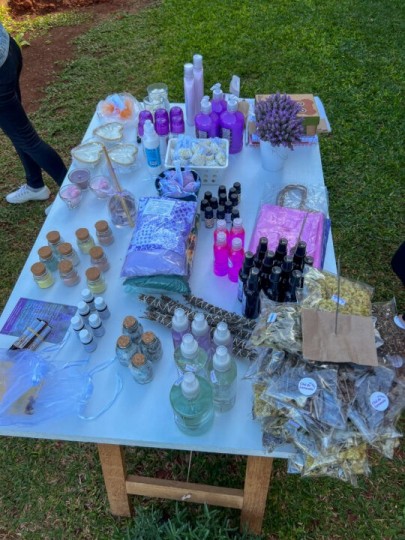 Lavandas de Morro Reuter - Bus 02 - Foto 7