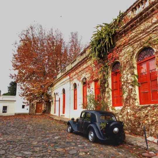 Réveillon Winetur Uruguai - Foto 11