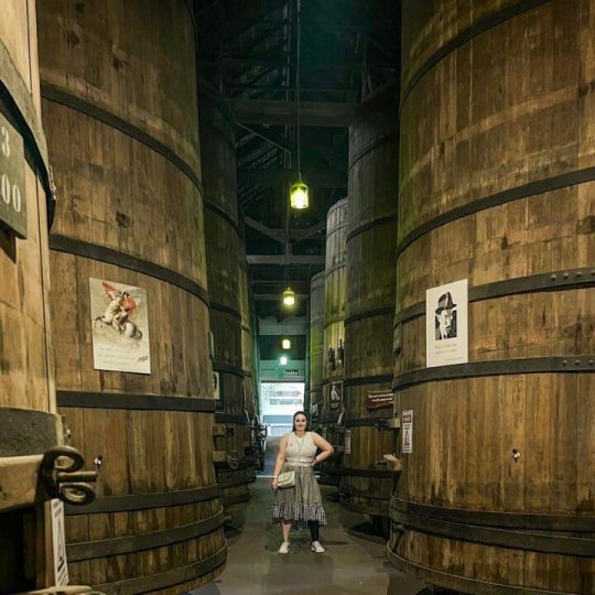 Manta e Vinho - Foto 6
