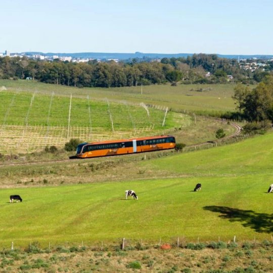 Trem do Pampa & Fenadoce - Foto 5