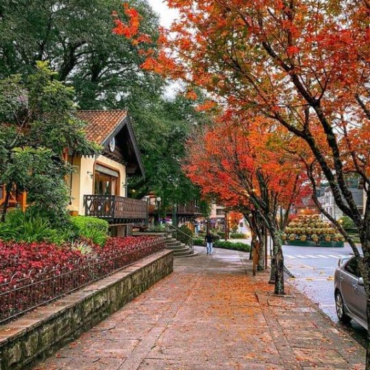 Gramado & Canela Weekend - Foto 28