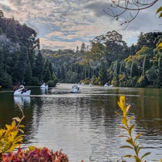 Gramado & Canela Weekend - Foto 12
