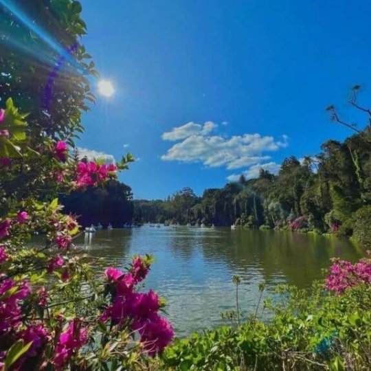 Gramado & Canela Weekend - Foto 14