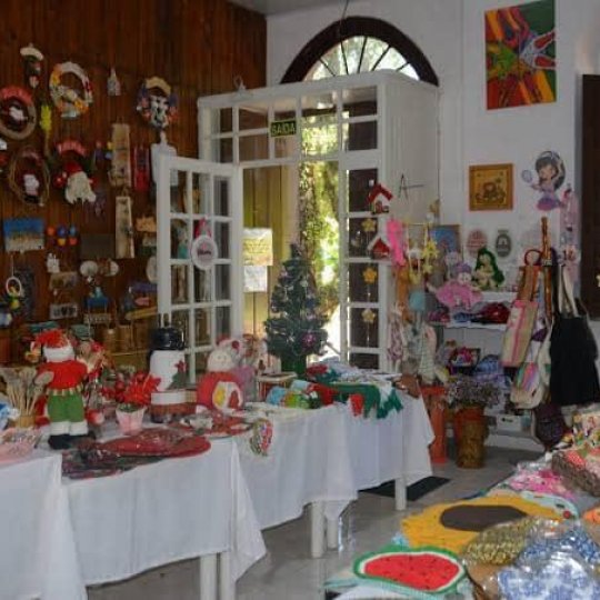 Lavandas de Morro Reuter & Café da Colônia - Foto 12