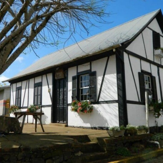 Lavandas de Morro Reuter & Café da Colônia - Foto 14