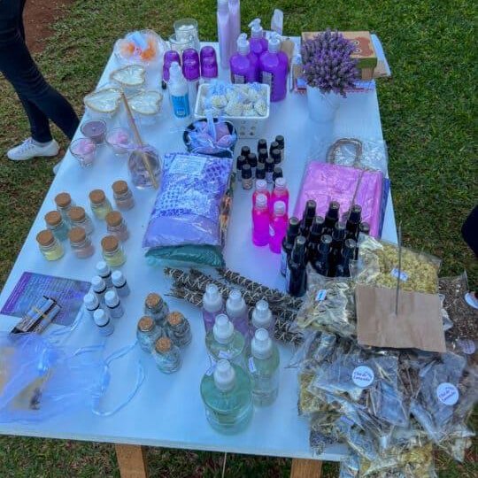 Lavandas de Morro Reuter & Café da Colônia - Foto 6