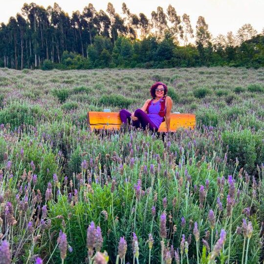 Lavandas de Morro Reuter - Foto 8