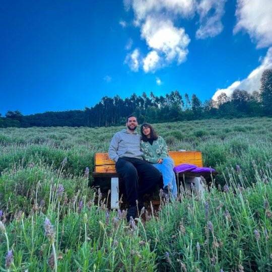 Lavandas de Morro Reuter - Foto 11