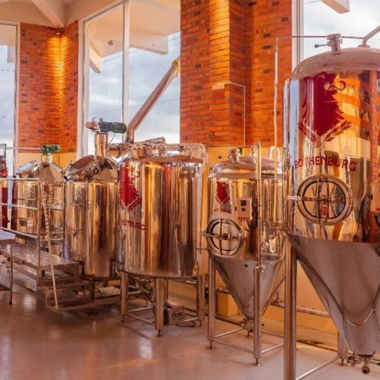 Lavandas de Morro Reuter - Foto 1