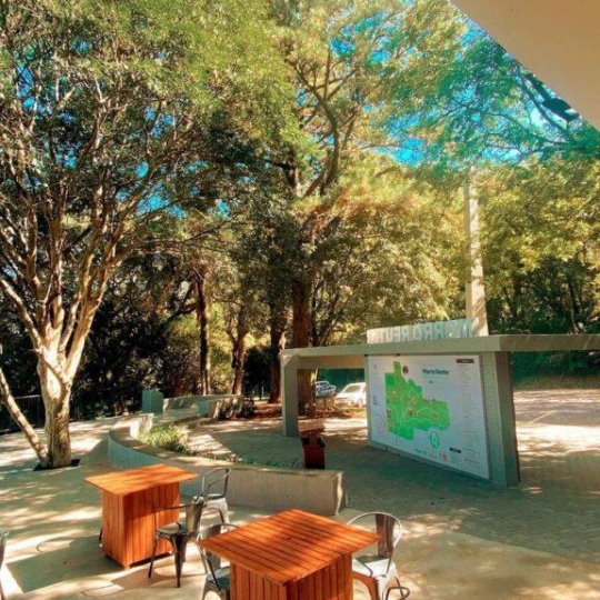 Lavandas de Morro Reuter - Foto 2