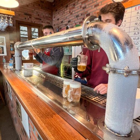 Lavandas de Morro Reuter - Foto 4