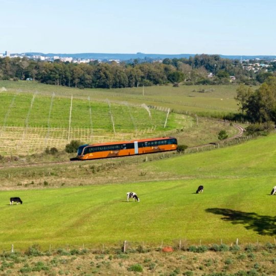Trem do Pampa e Rivera (Dia de Semana) - Foto 5