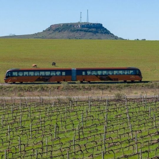 Trem do Pampa e Rivera (Dia de Semana) - Foto 16