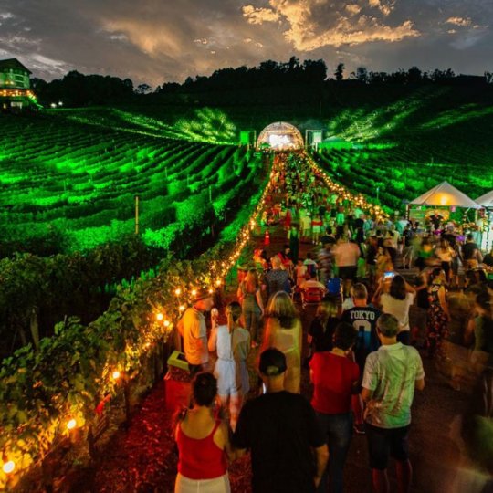 Natal nos Vinhedos - Bus 02 - Foto 24