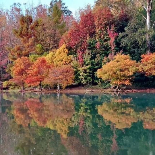 Termas Romanas e Parque Witeck - Foto 20