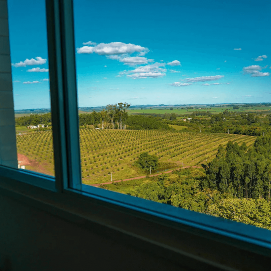 Termas Romanas e Parque Witeck - Foto 32