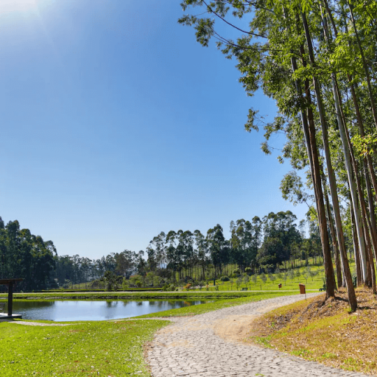 Termas Romanas e Parque Witeck - Foto 13