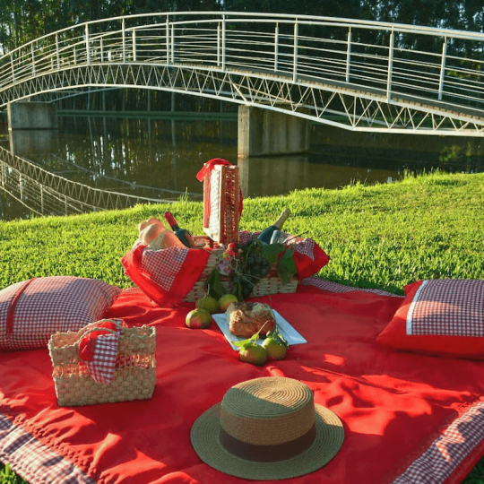 Termas Romanas e Parque Witeck - Foto 14