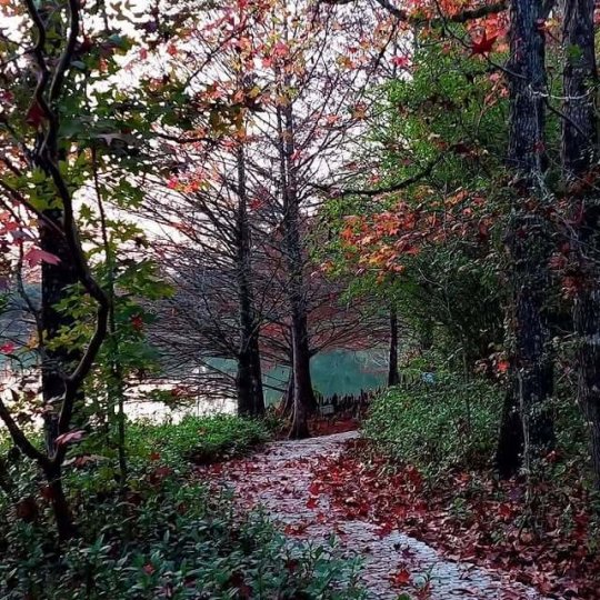 Termas Romanas e Parque Witeck - Foto 19
