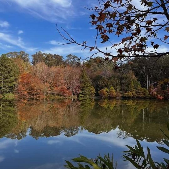 Termas Romanas e Parque Witeck - Foto 29