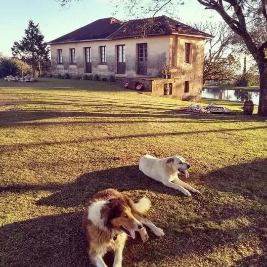 ExpoSanta - Monte Belo e Santa Tereza - Foto 1