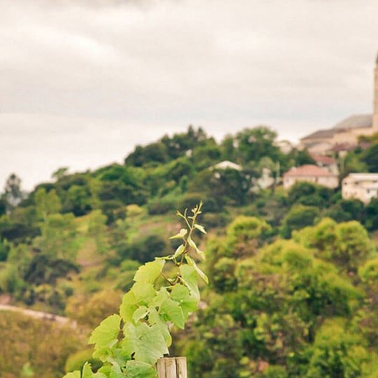 ExpoSanta - Monte Belo e Santa Tereza - Foto 11