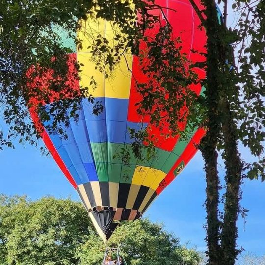 ExpoSanta - Monte Belo e Santa Tereza - Foto 3