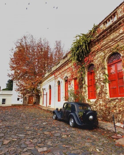 Réveillon Winetur Uruguai - Foto 11
