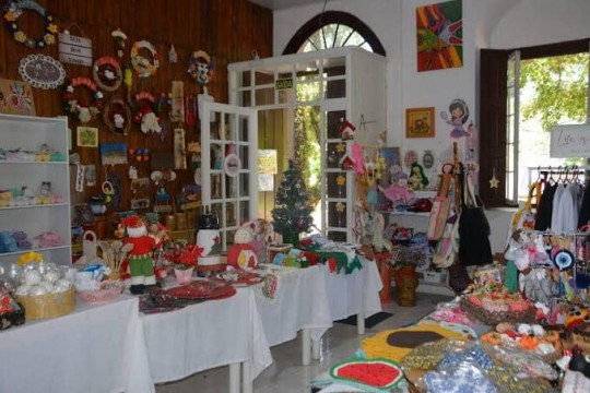 Lavandas de Morro Reuter & Café da Colônia - Foto 10