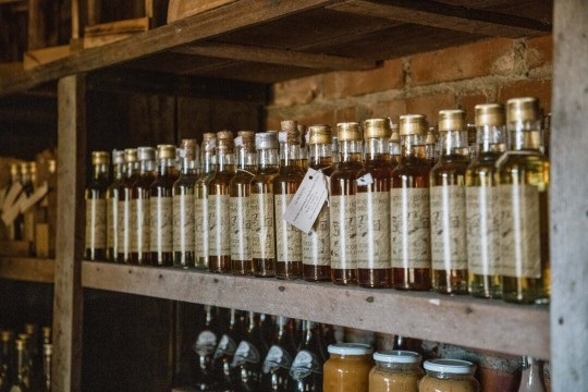 Cristo Protetor & Rota Germânica - Especial Dia das Mães - Foto 23